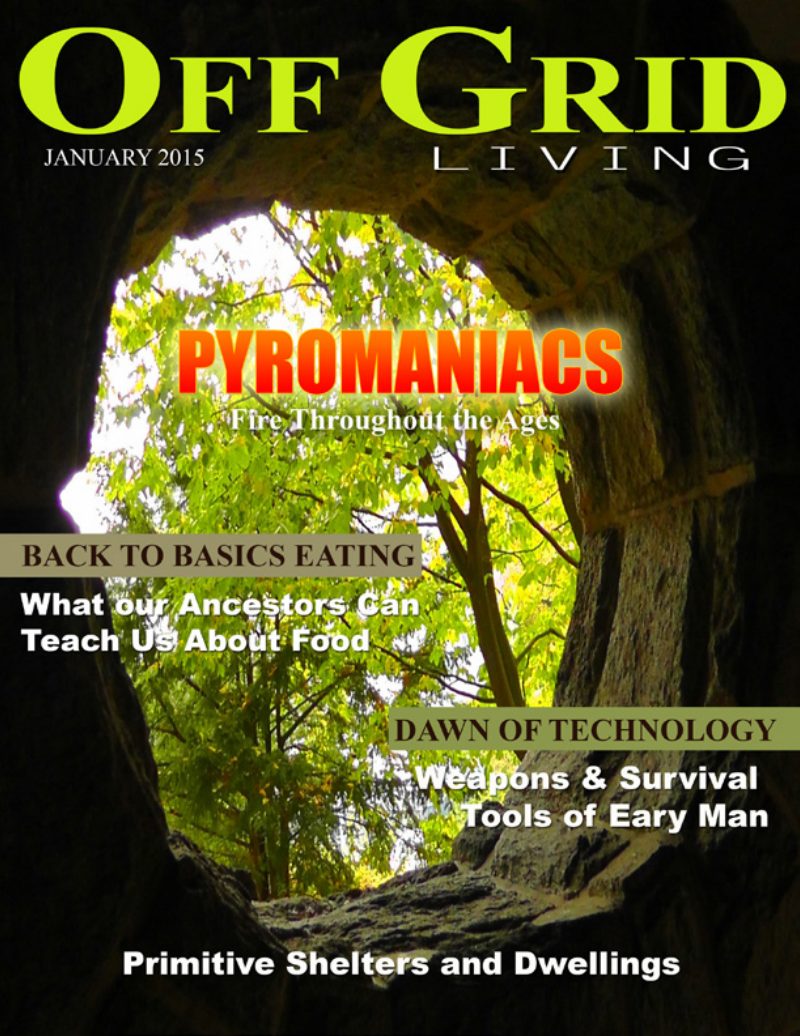 January2015 cover