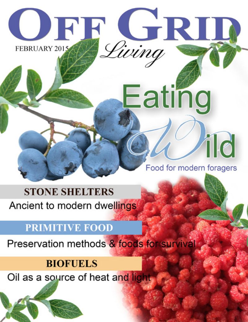 February2015 cover
