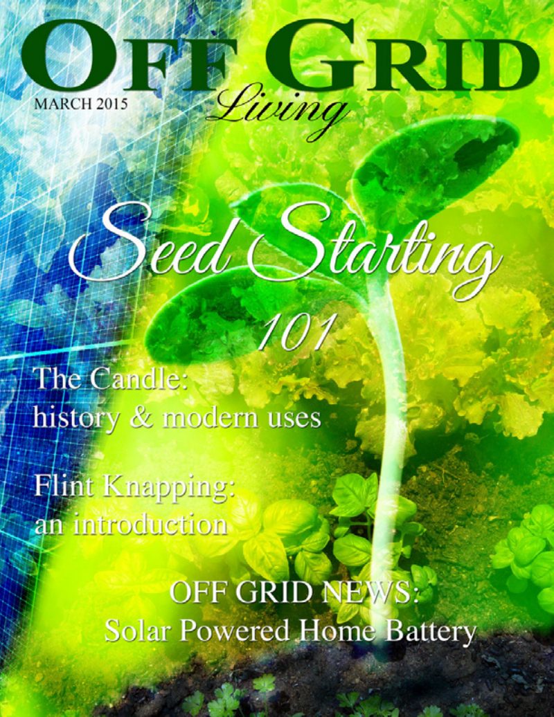 March2015 cover