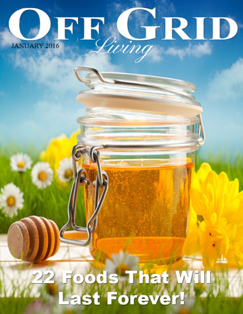 January 2016 cover