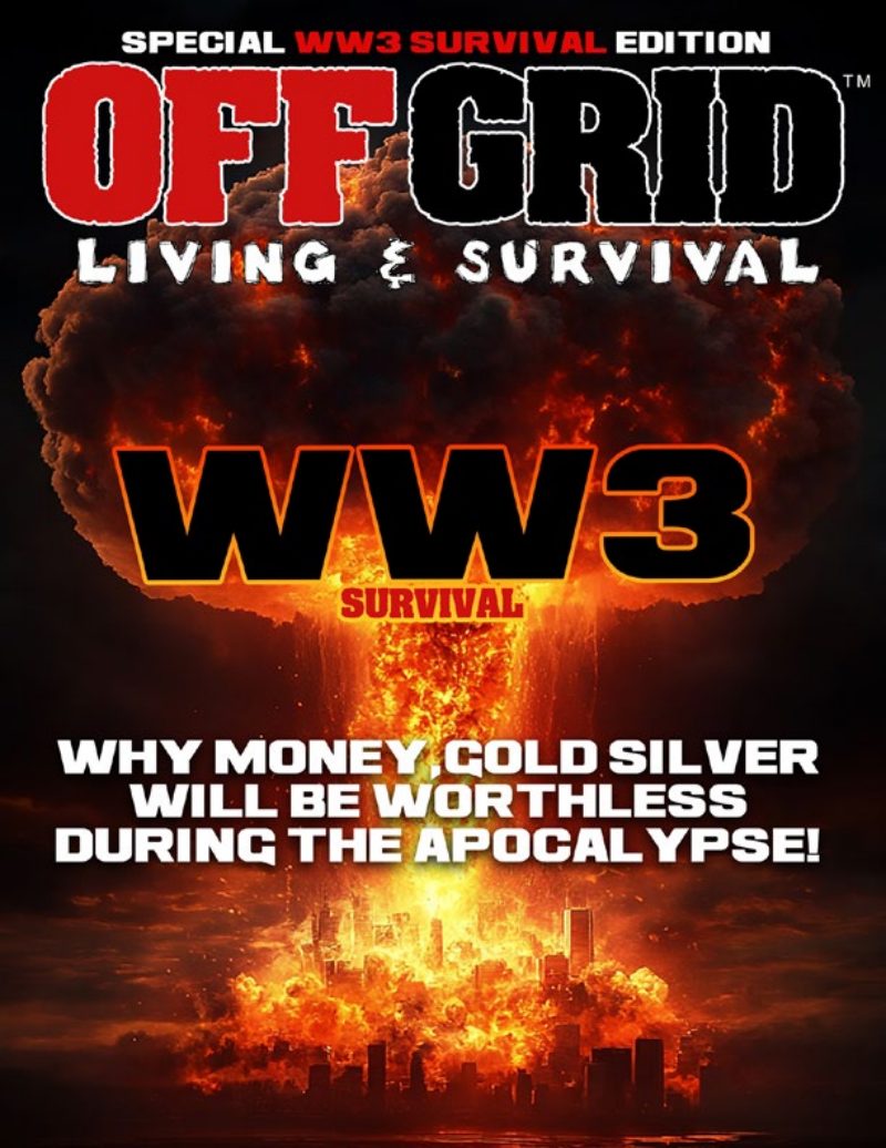 WW3 Survival Edition 2024 cover