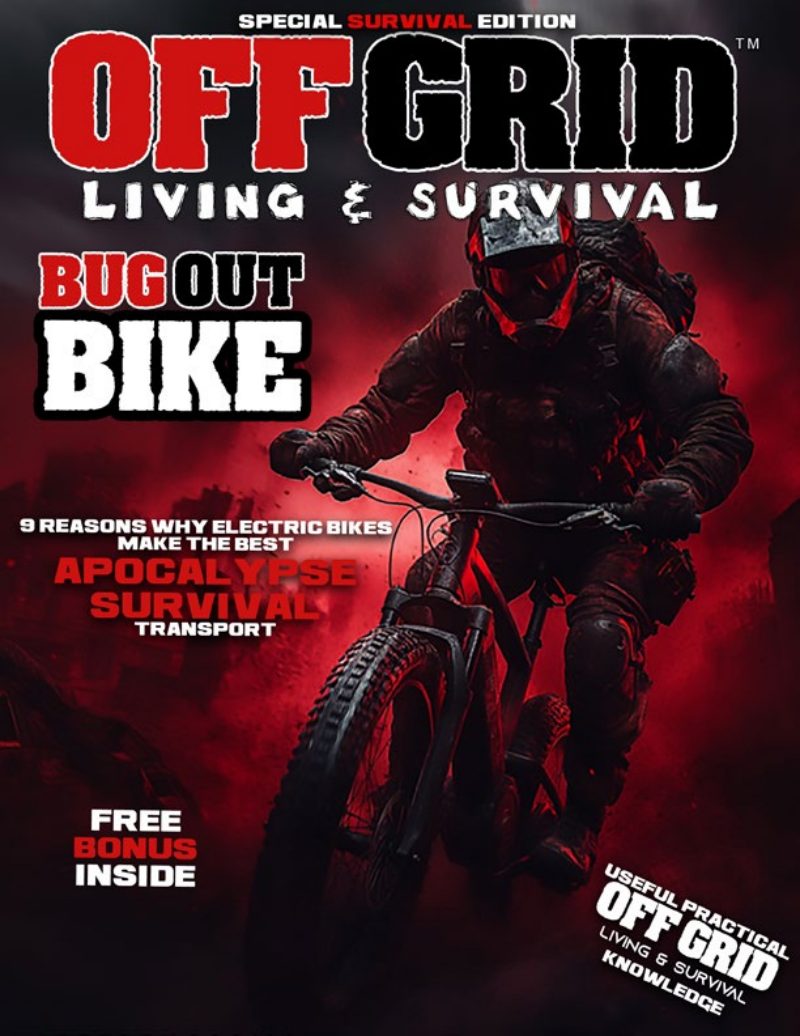 Ebike Survival Edition 2024 cover