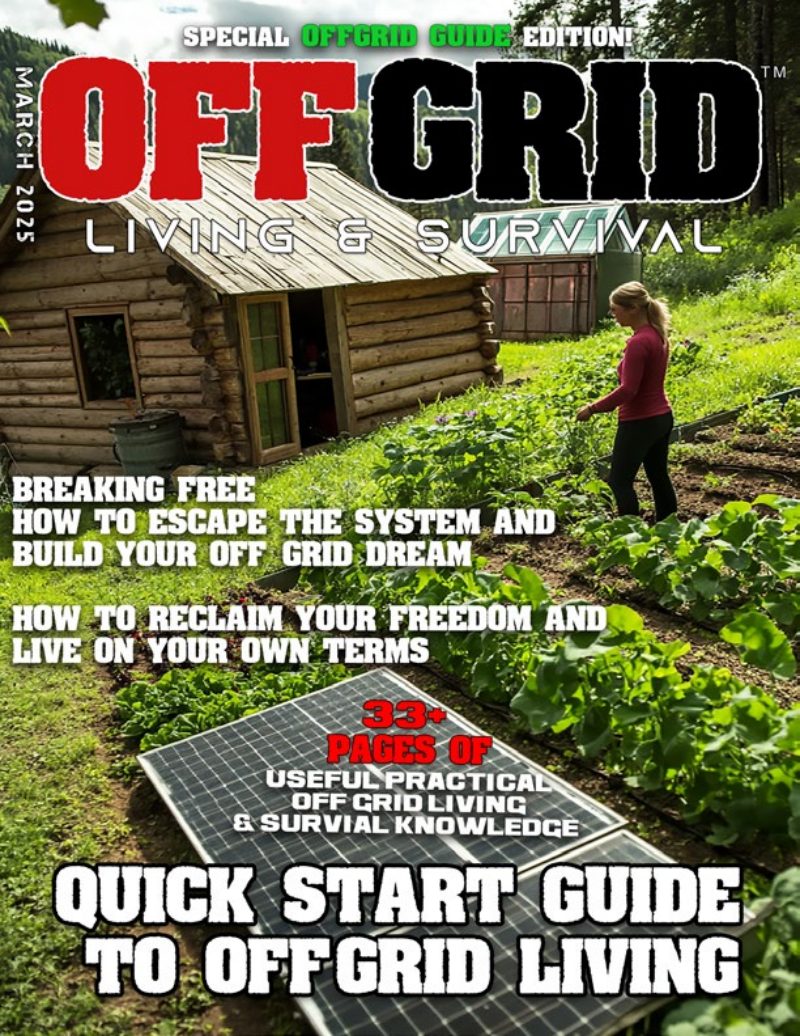 Quick Start Guide To Off-Grid Living March 2025 cover