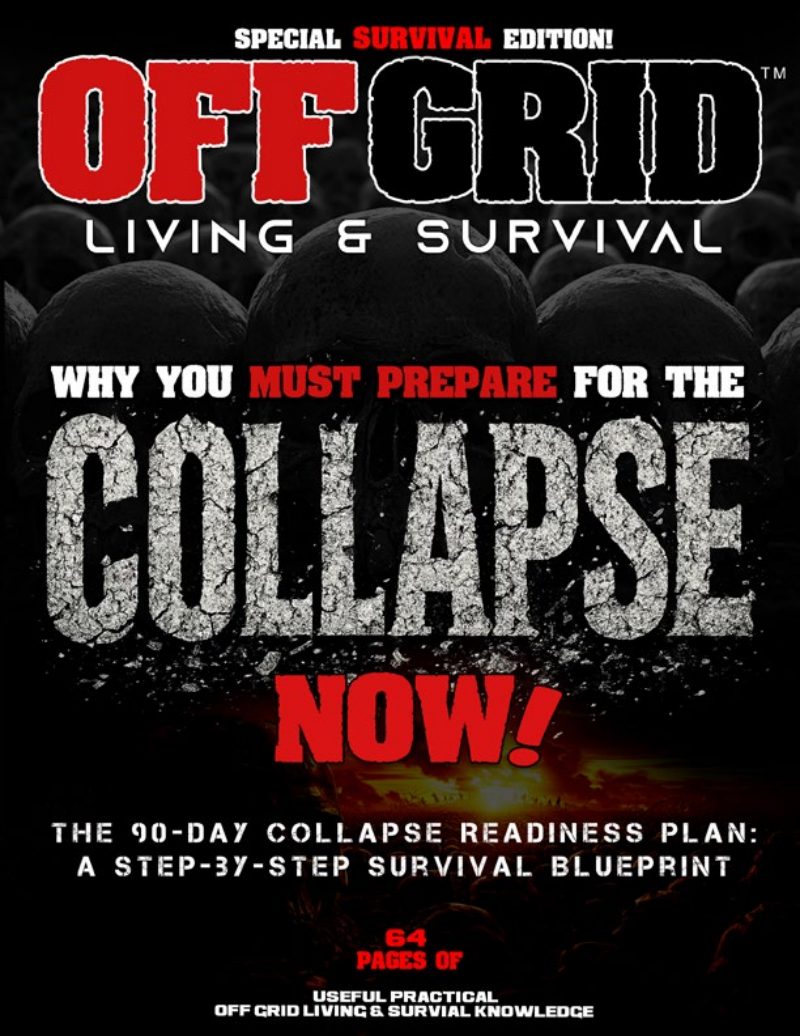 June 2025 Special Survive The Collapse Edition cover
